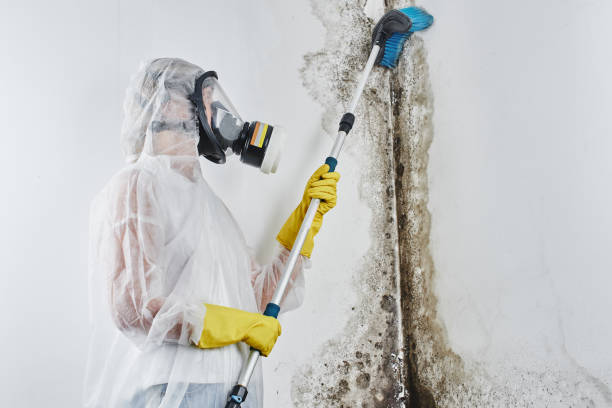 Water damage restoration experts in Liberty, PA